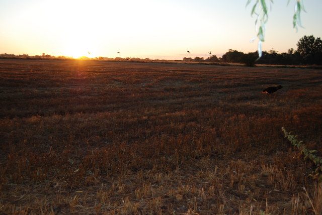 Sunrise over fields in the centre of the parish