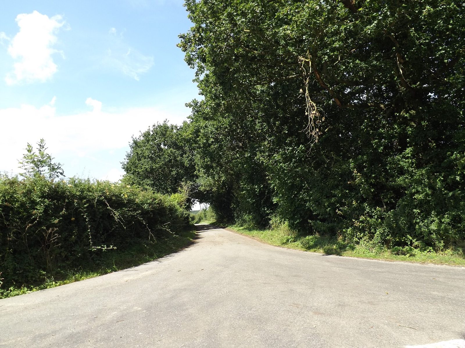 Braiseworth Lane