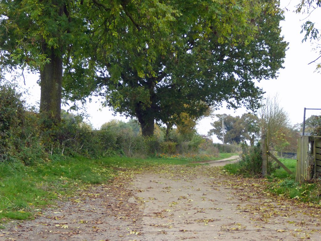 The drive to Braiseworth Old Hall Farm